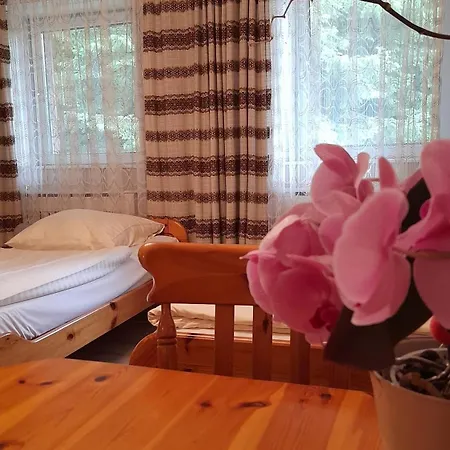 Haus Barnabas Im Engel, Engel Pensión 3*