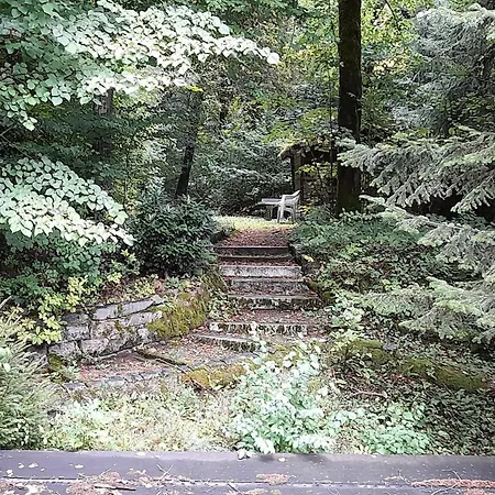 Haus Barnabas Im Engel, Engel Pensión Utzenfeld