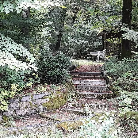 Haus Barnabas Im Engel, Engel 招待所 3*