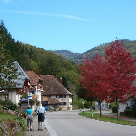 게스트하우스 Haus Barnabas Im Engel, Engel 3*